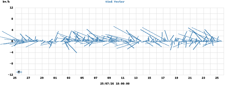 Wind Vector